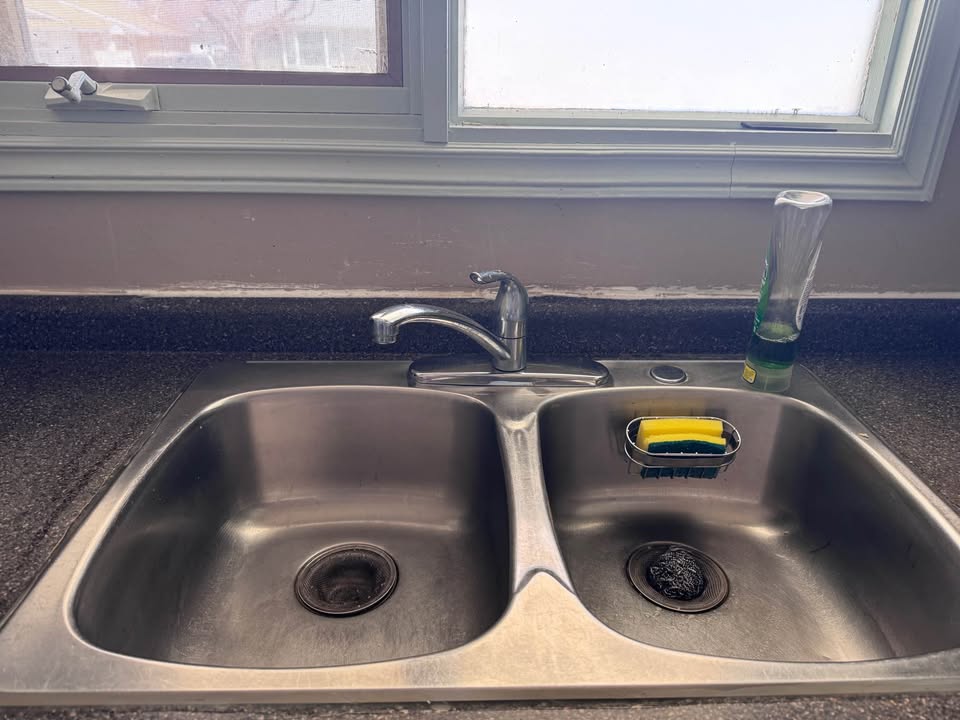 Double Bowl Stainless Steel Kitchen Sink With Faucet Regina